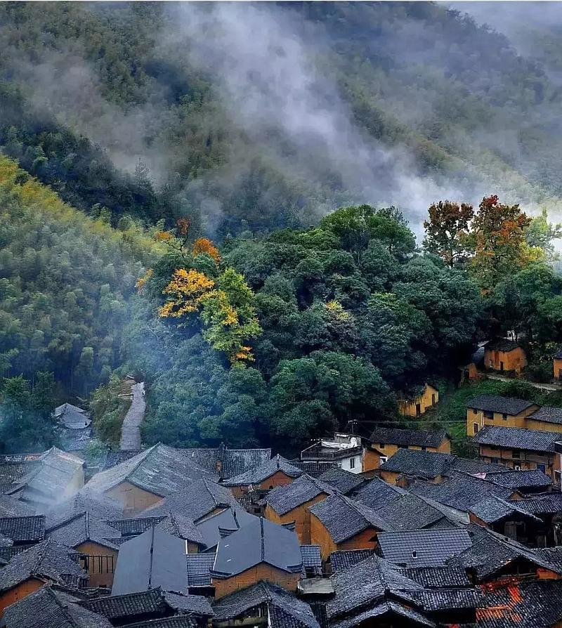 加勒比巡航